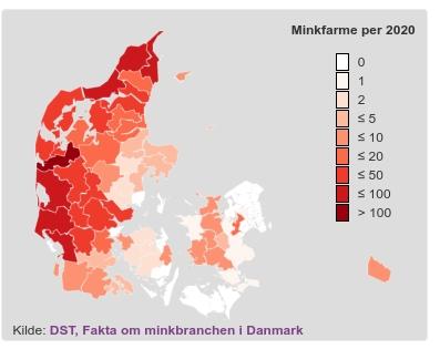 Vandt Mette F. virkelig i mink-land? - Det blev kaldt "tilgivelsesvalget" af en kommentator i P1 Orientering, og DR affærdigede hurtigt en tiltrængt analyse med en tvivlsom historie fra Gjøl - men passer pengene?